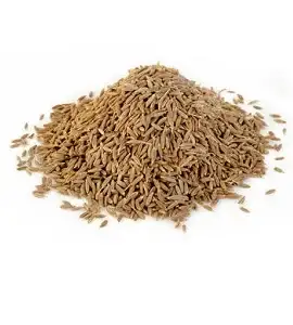 Cumin seeds
